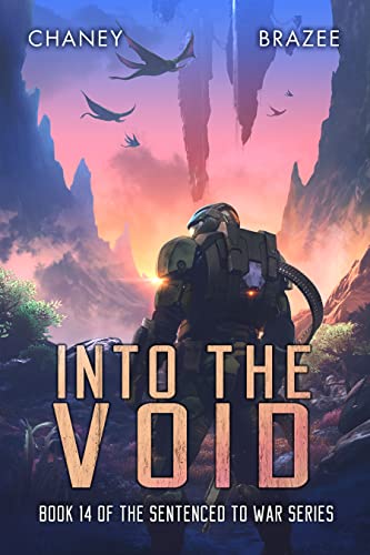 Into the void cover